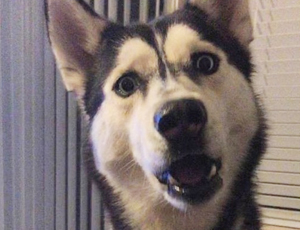 ddos流量攻击购买